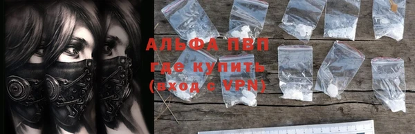 стаф Архангельск